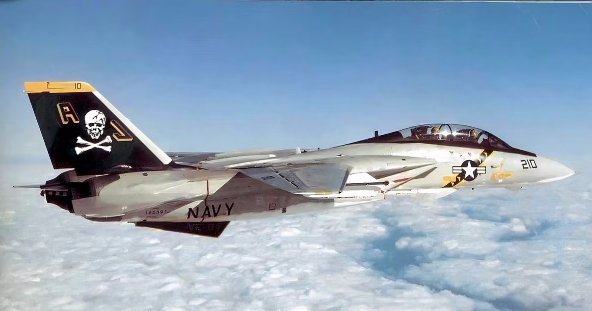 مقابله F-14 Tomcat و Mig-29؛ کدام پیروز نبرد میشوند؟