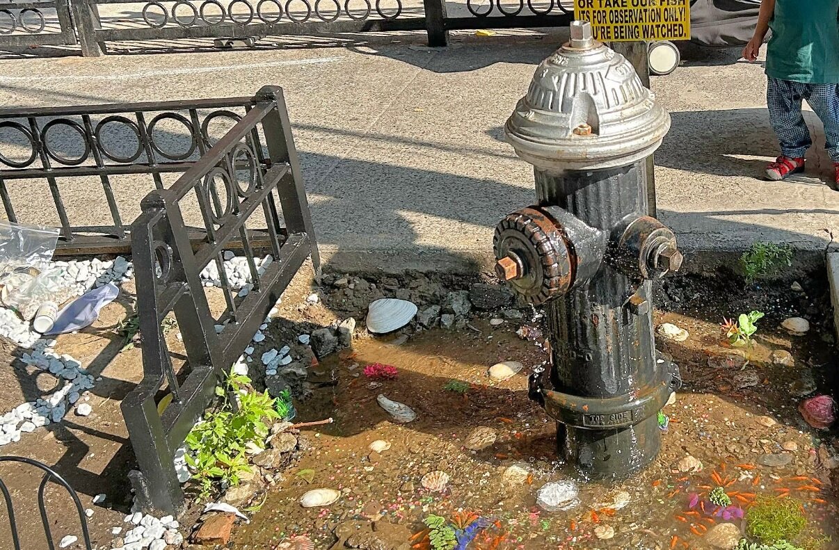 تصاویر بینظیر از رشد ماهیهای قرمز کنار شیر آتشنشانی