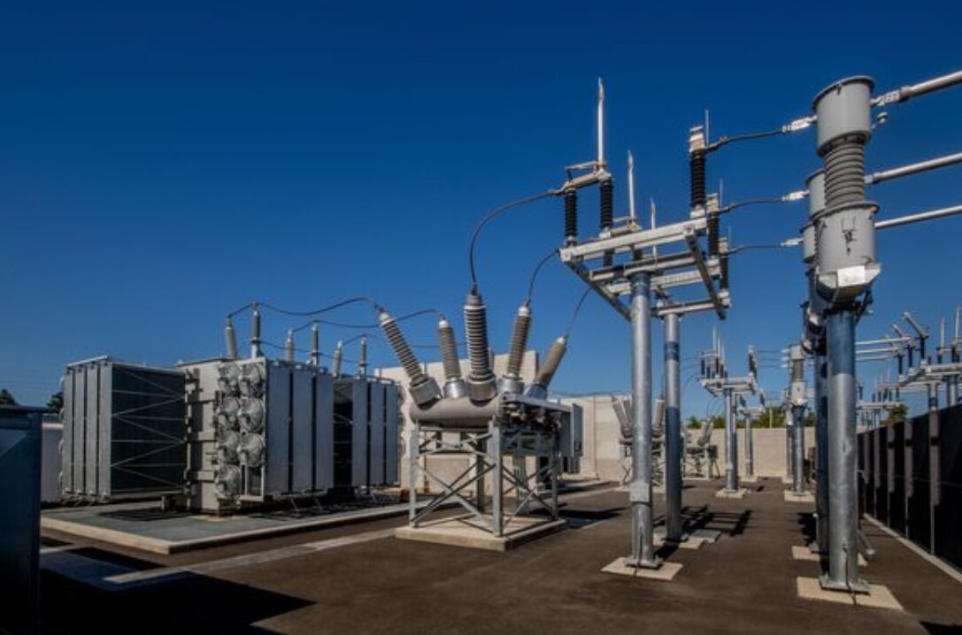 ماری که موجب قطع برق منطقهای شد