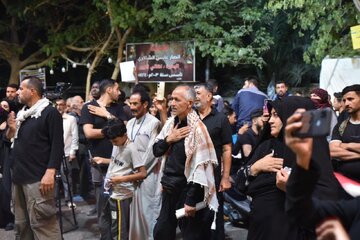 تصاویر | صحنه های دیدنی از راهپیمایی اربعین