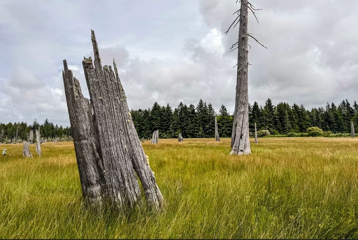 این بمب ژاپنی قدرت قتلعام۳۰۰هزار نفر را دارد!