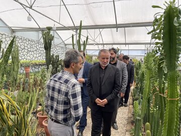 افتتاح یک واحد گلخانهای و  یک واحد تولیدی پرورش مرغ گوشتی در شاهرود افتتاح یک واحد گلخانهای و  یک واحد تولیدی پرورش مرغ گوشتی در شاهرود