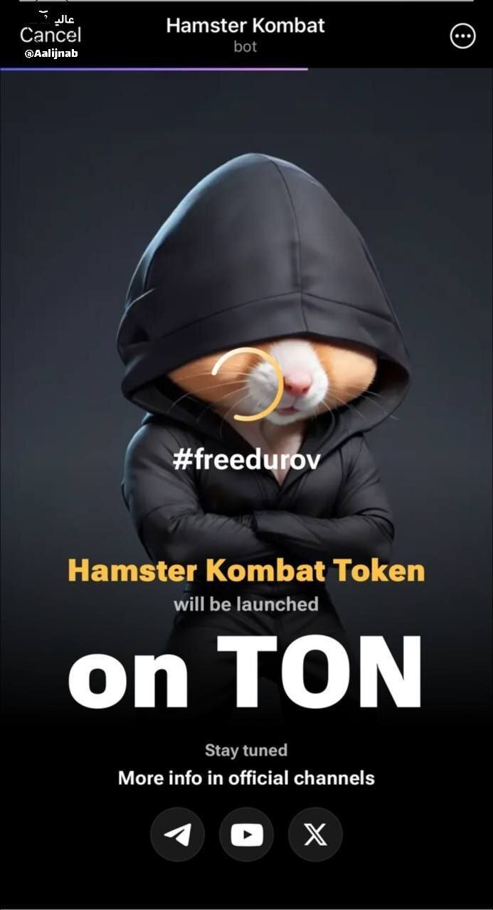 عکس | پوستر جدید همستر برای پاول دروف