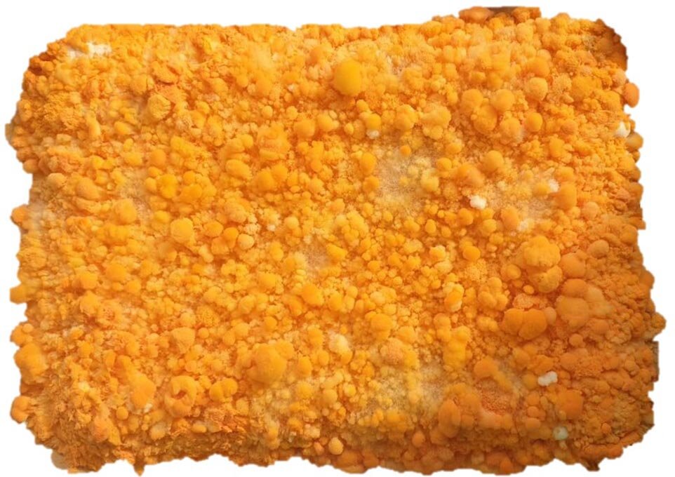 مسیری منحصربهفرد از زباله تا گنج