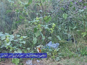 گردشگری زباله