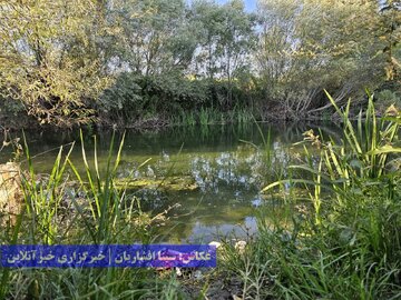 گردشگری زباله