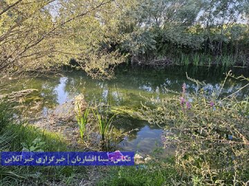 گردشگری زباله