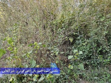گردشگری زباله