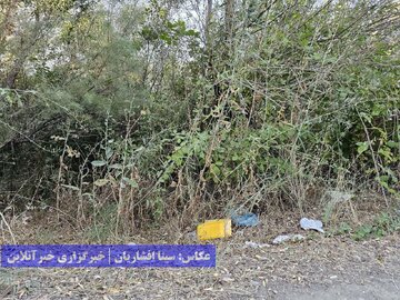 گردشگری زباله