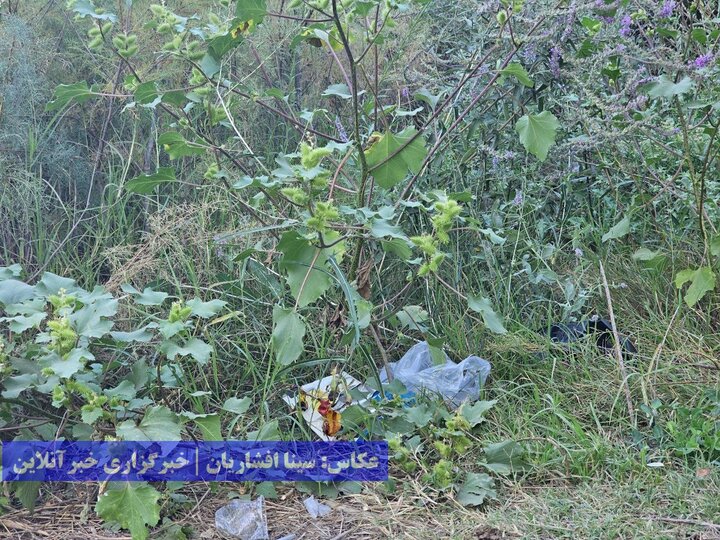 گردشگری زباله