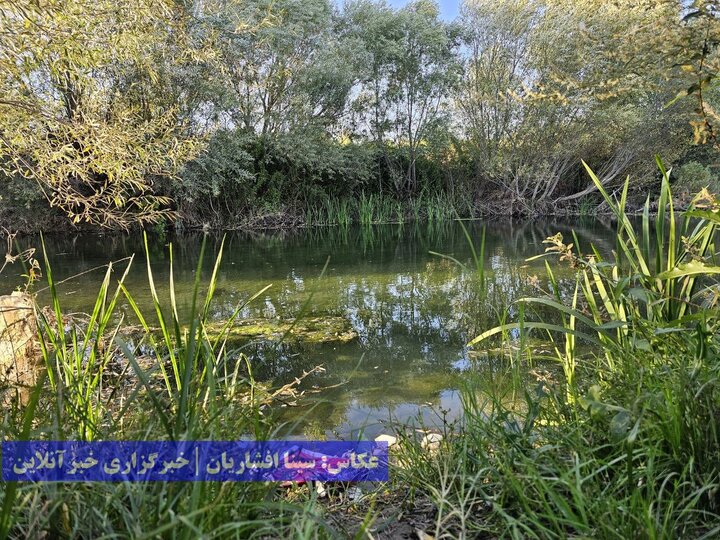 گردشگری زباله