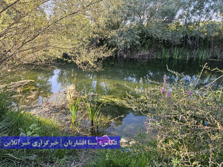 گردشگری زباله