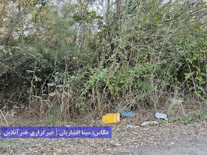 گردشگری زباله