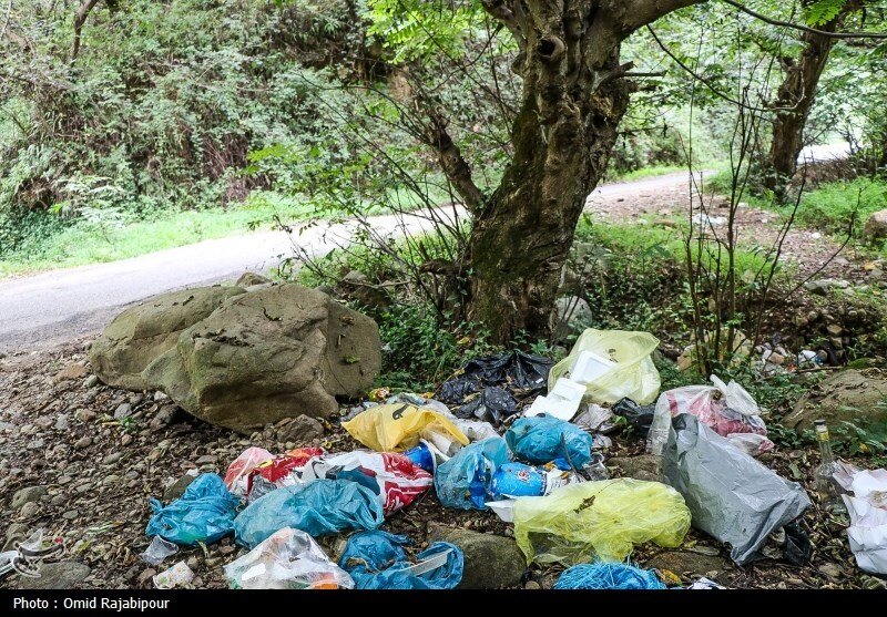 تصاویر عجیب از جنگلهای گیلان