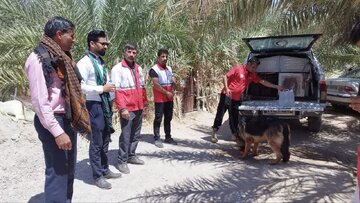 آخرین خبرها از مفقودی کودک ریگانی پس از ۲ روز/ جستجو با پهباد