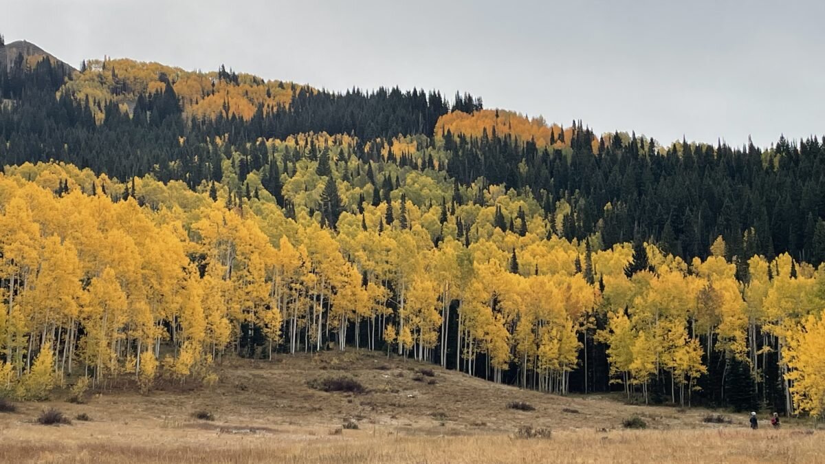 ایران پرسمان