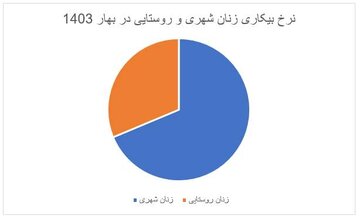 بحران بیکاری زنان جوان / چرا زنان پشت درهای بازار کار مانده‌اند؟ 6