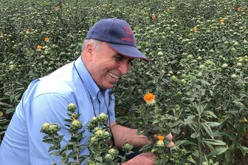 ریختن زباله در جنگل و طبیعت نشانه فقر فرهنگی ریختن زباله در جنگل و طبیعت نشانه فقر فرهنگی