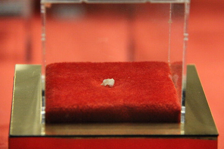 قدیمیترین سکونتگاه انسان در ایران کجاست؟