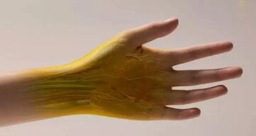 دانشمندان راهی را برای شفاف کردن پوست انسان پیدا کردند؛ وقتی میتوان داخل بدن را دید!