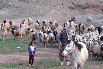  ممنوعیت اشتغال اتباع بیگانه در میان جامعه عشایری کرمانشاه 