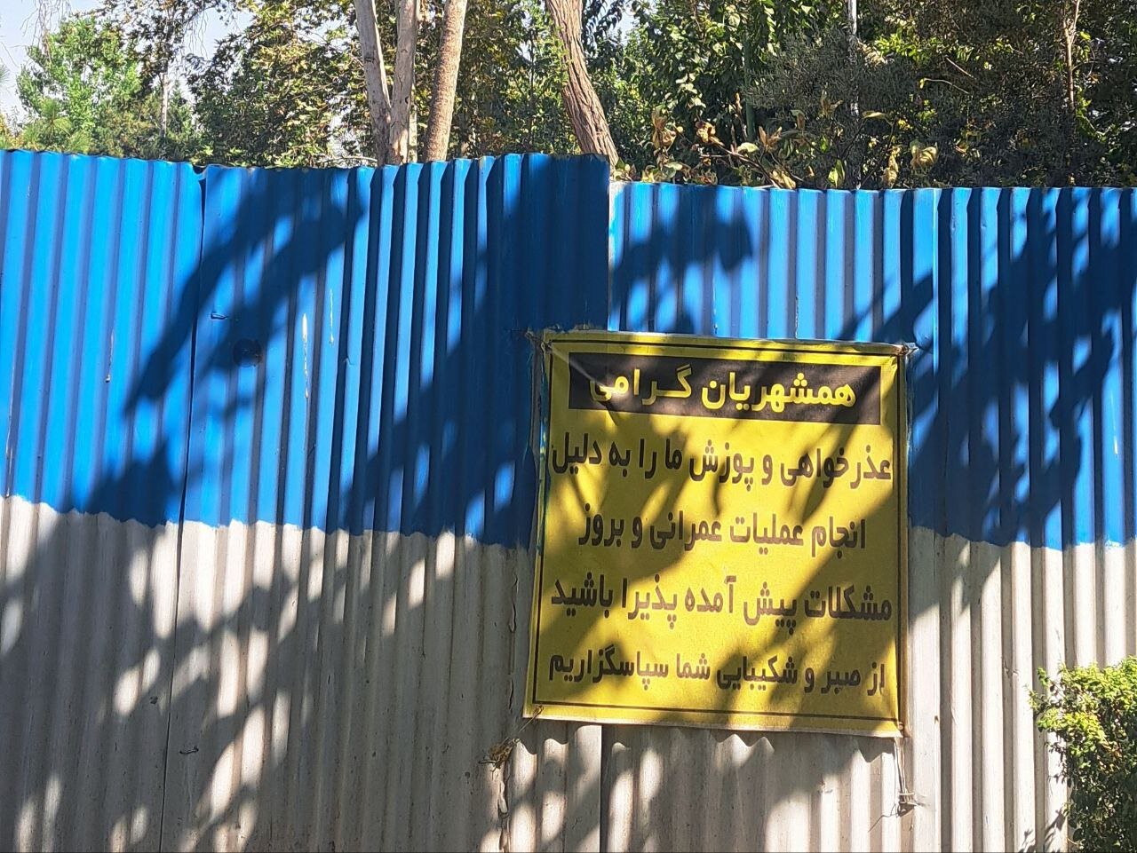 قطع بیش از ۱۰ درخت کهنسال در این پارک تهران/ استتار محل قطع درختان با خاک + عکس