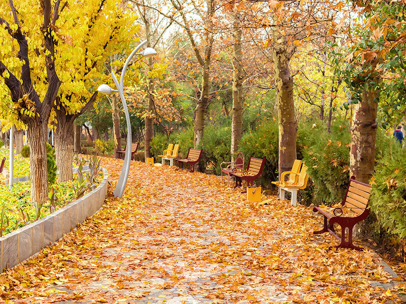 سفر یکروزه اطراف تهران کجا برویم؟/ ۶ مقصد رویایی در فصل پاییز