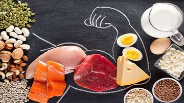 ۱۳ منبع عالی پروتئین برای عضلهسازی ۱۳ منبع عالی پروتئین برای عضلهسازی