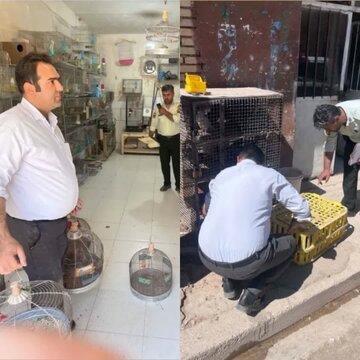 پایش مستمر واحدهای صنفی عرضه گونه‌های جانوری در چهارمحال‌وبختیاری