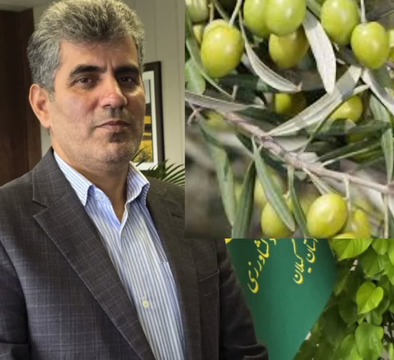 یطل