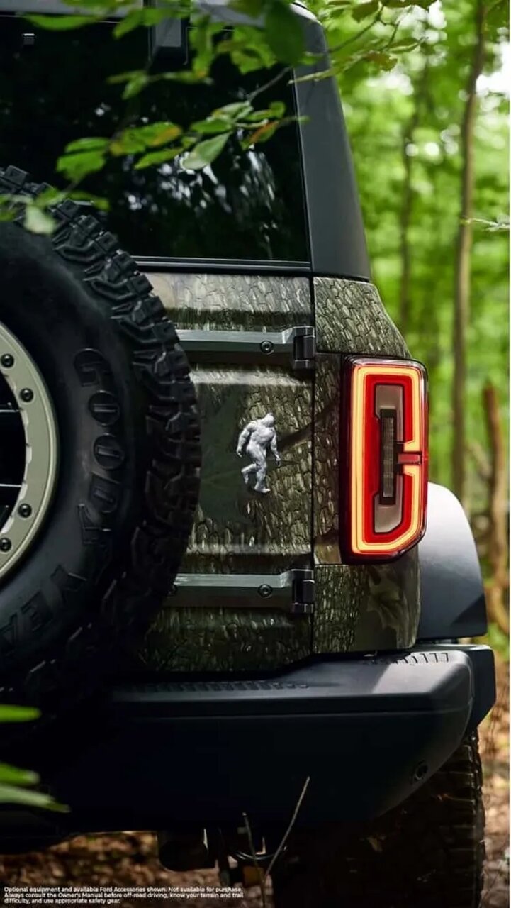 پاگنده را پیدا کن، شاسیبلند جایزه بگیر