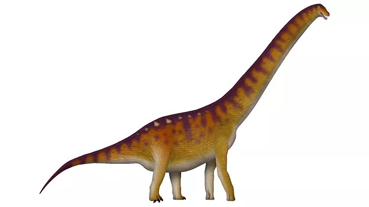 پیدا شدن یک دایناسور غولپیکر در اسپانیا