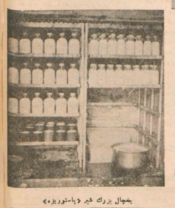 وقتی «شرکت شیر پاستوریزه» ایران نوزاد بود / عکس