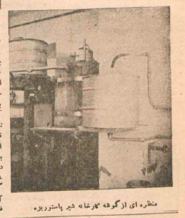 وقتی «شرکت شیر پاستوریزه» ایران نوزاد بود / عکس