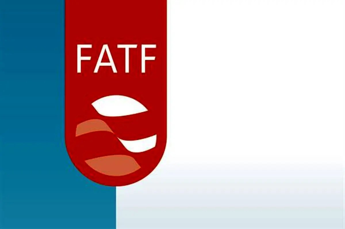 انتقاد از اظهارنظر معاونان وزارت اطلاعات درباره FATF/ درباره مسائل مالی باید وزیر اقتصاد و رئیس بانک مرکزی سخنرانی کنند