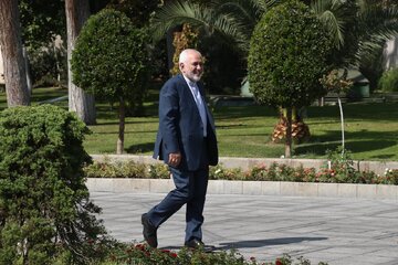 عکس جالب از تیپ غیررسمی ظریف در حیاط دولت /دست آسیب دیده آقای معاون