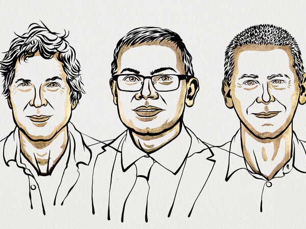 هاسابیس، از طراح بازیهای ویدیویی تا فتح جایزه نوبل