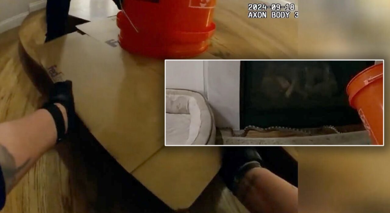 ورود ماری بزرگ به خانهای در آمریکا/ عکس