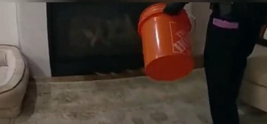 ورود ماری بزرگ به خانهای در آمریکا/ عکس