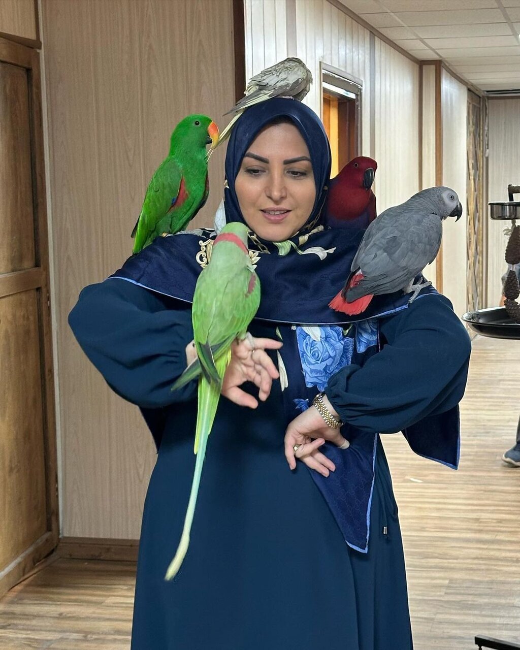 عکس | تصویری پربیننده از مهمانان متفاوت المیرا شریفی مقدم با رنگهای مختلف در تلویزیون!