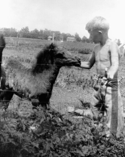 قاب‌هایی جالب از نقاط عطف زندگی کارتر؛ از کشاورزی در مرزعه تا استیصال در ماجرای گروگانگیری سفارت آمریکا در تهران