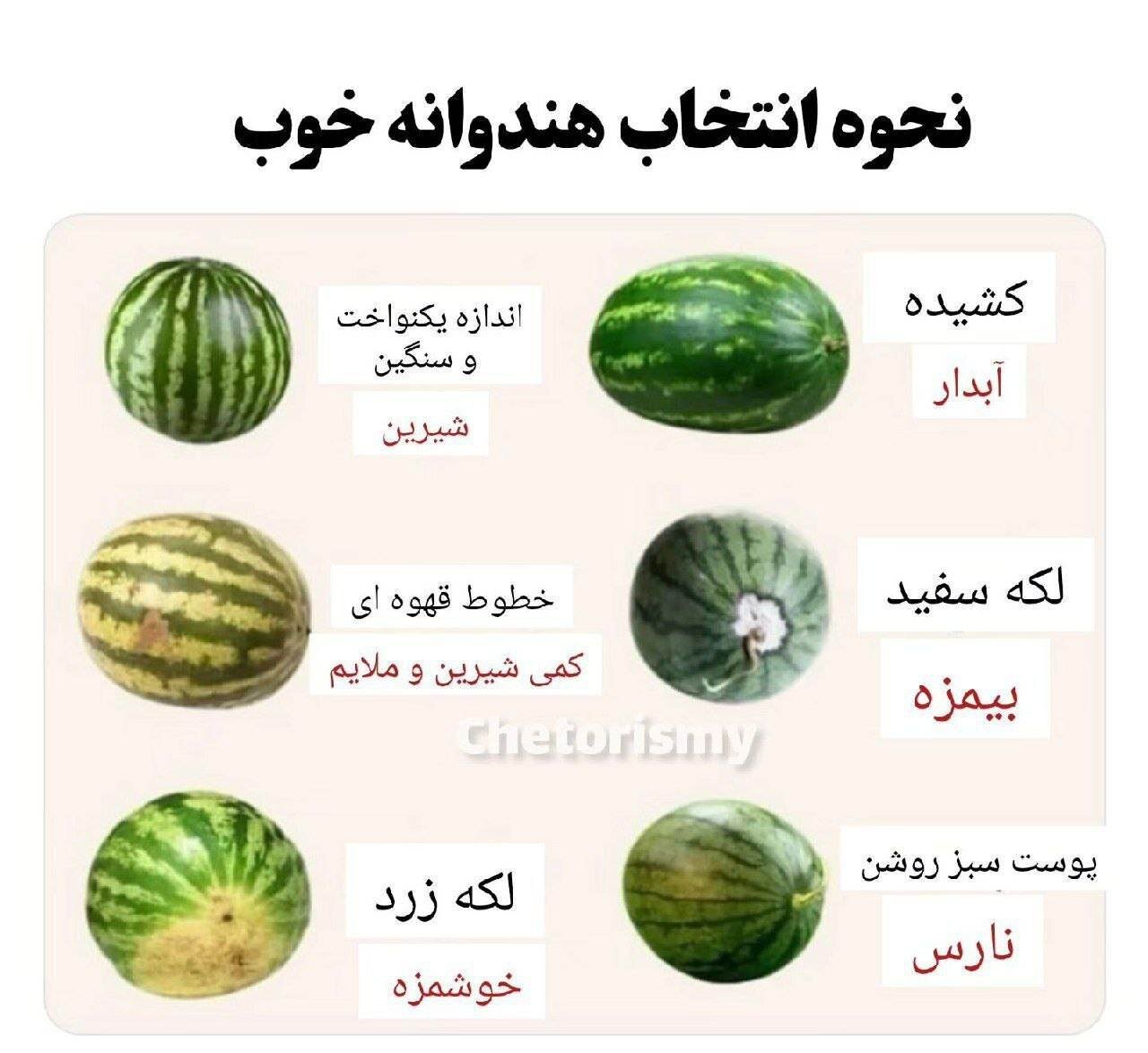 عکس | نحوه انتخاب هندوانه خوب