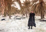 «مهاجران» اثر هنرمند فارسی برگزیده جشنواره فیلم و حرکت بارسلونا شد
