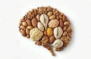 غذاهای فوق‌العاده برای ذهنی تیز و خلاق/ سوپرفودها؛ راز تقویت حافظه