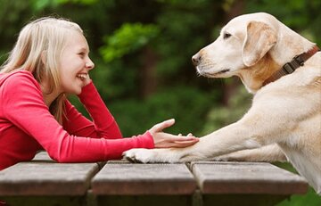 حرف زدن با حیوانات ممکن شد حرف زدن با حیوانات ممکن شد