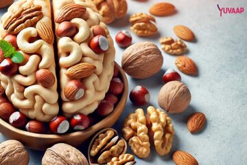 این مغز آجیلی برای کمتوانی جنسی و ضعف حافظه مفید است/ آجیلی که تلخ و شیرین آن خواص درمانی دارد این مغز آجیلی برای کمتوانی جنسی و ضعف حافظه مفید است/ آجیلی که تلخ و شیرین آن خواص درمانی دارد