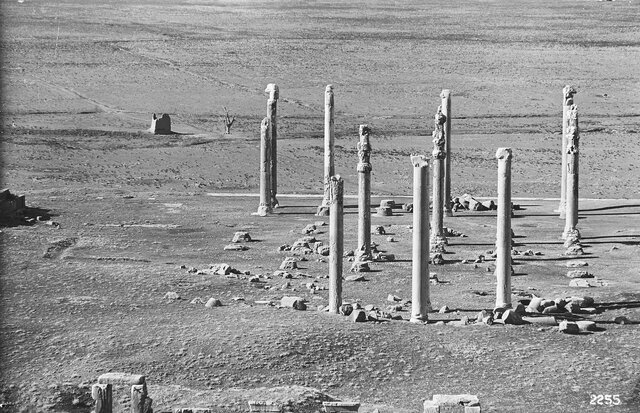 تختجمشید پیش از حفاری چه شکلی بود؟ / عکس + فیلم