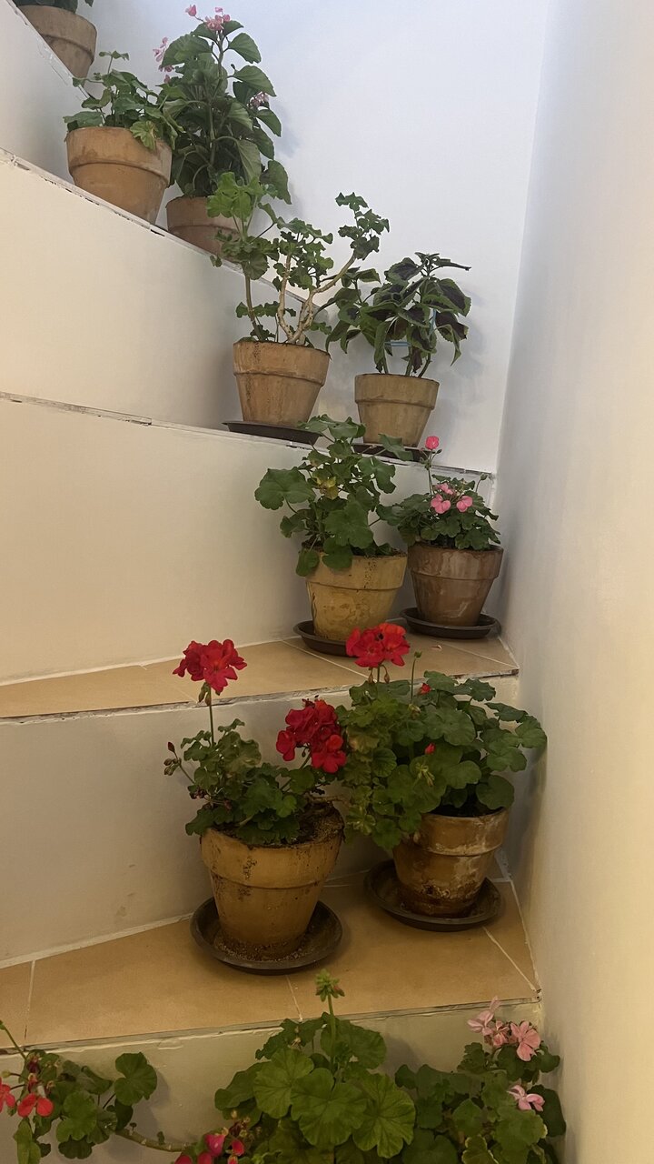 احیای بنای تاریخی آزموده اردلان؛ گامی در جهت حفظ میراث فرهنگی کردستان