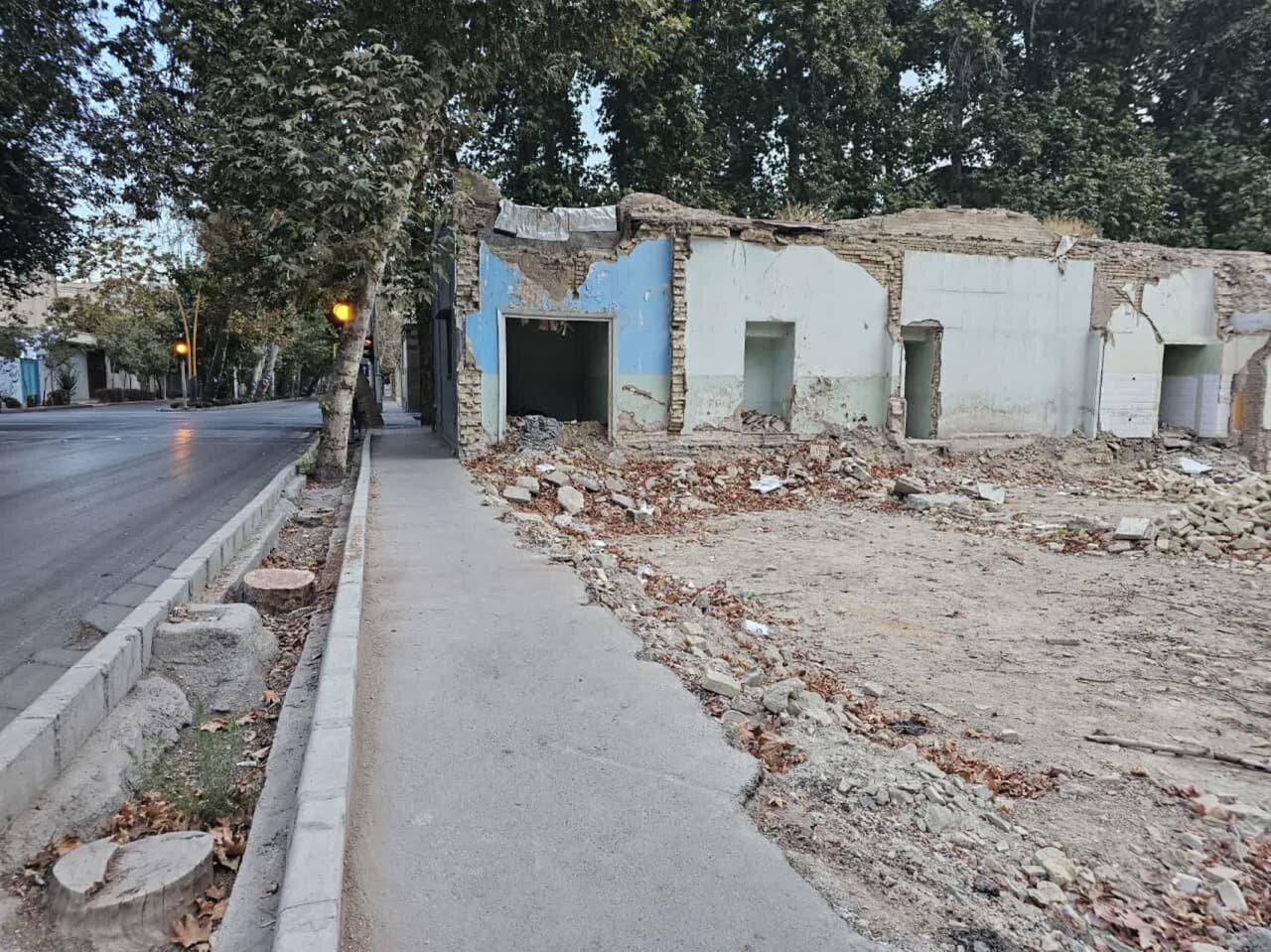 «چنار»های اصفهان زیر «گیوتین» دستگاه «بیجان»/ آخرین درخت تقاطع «عباسآباد» نیز جان داد!+ تصاویر