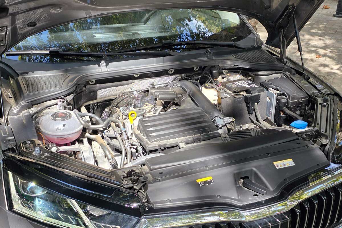 اشکودای تازهنفس بازار ایران /عکس